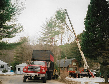 Crane Bringing Down Tree Branch Into Truck | Crane Tree Removal in Grafton County, NH