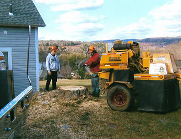 Two Men Preparing Tree Stump Grinder