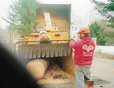 Man Operating Tree Shredder