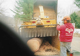 Man Operating Tree Shredder