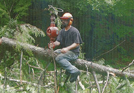 Man Connecting Crane To Tree Limb
