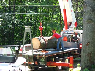 Tree Care in Grafton County, NH